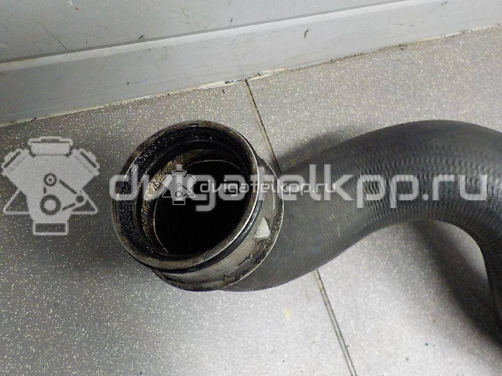 Фото Патрубок интеркулера  для Volkswagen Transporter / Multivan {forloop.counter}}