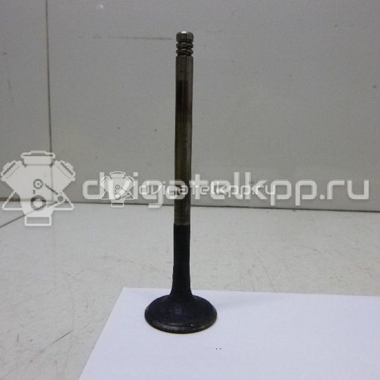 Фото Клапан впускной  059109601b для Volkswagen Passat