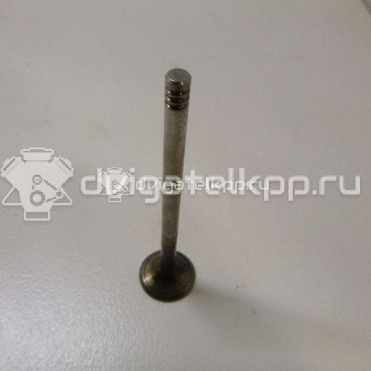 Фото Клапан выпускной  059109611B для Volkswagen Passat