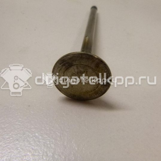 Фото Клапан выпускной  059109611B для Volkswagen Passat