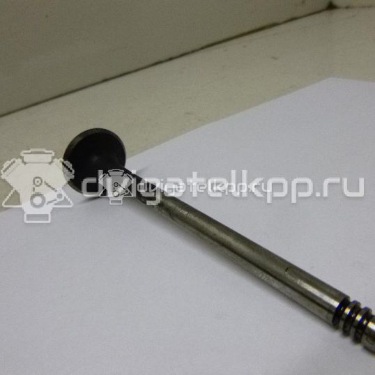 Фото Клапан выпускной  059109611B для Volkswagen Passat