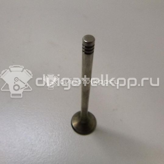 Фото Клапан выпускной  059109611B для Volkswagen Passat