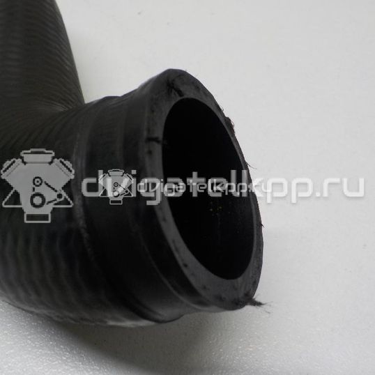 Фото Патрубок интеркулера  8d0145828c для Volkswagen Passat