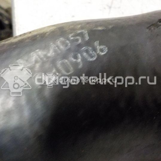 Фото Патрубок интеркулера  для Volkswagen / Seat