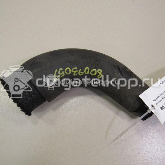 Фото Патрубок интеркулера для двигателя D4EA для Hyundai / Kia 113-116 л.с 16V 2.0 л Дизельное топливо 2826127250