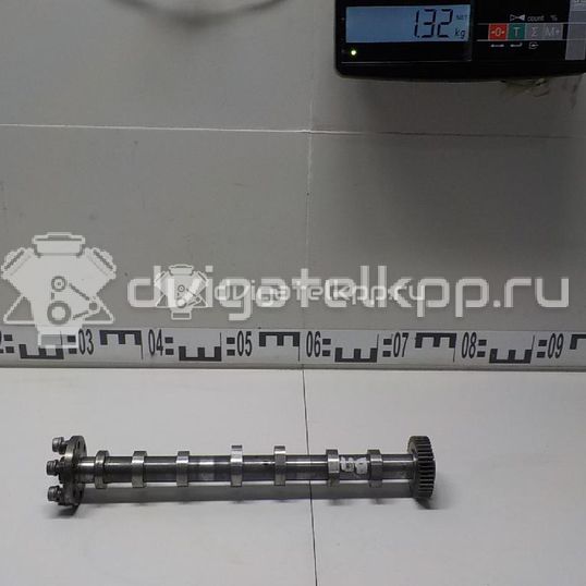 Фото Распредвал впускной  059109009dh для audi A8 [4H]