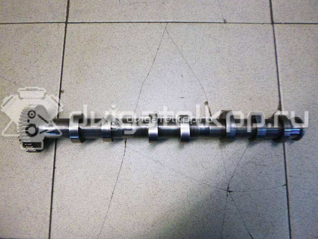 Фото Распредвал выпускной  059109009dk для audi A5/S5 [8F] Cabrio {forloop.counter}}