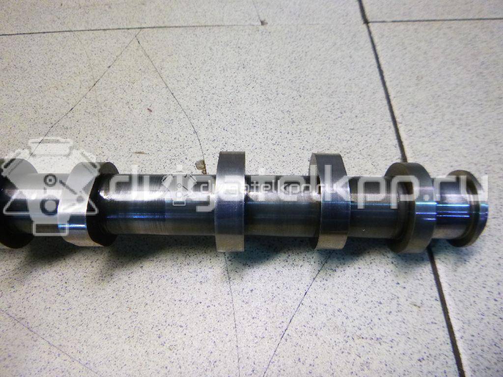 Фото Распредвал выпускной  059109009dk для audi A5/S5 [8F] Cabrio {forloop.counter}}