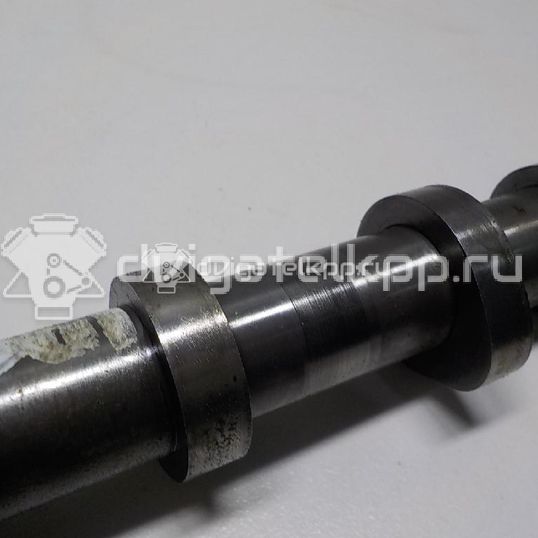 Фото Распредвал выпускной  059109009dk для audi A5/S5 [8F] Cabrio