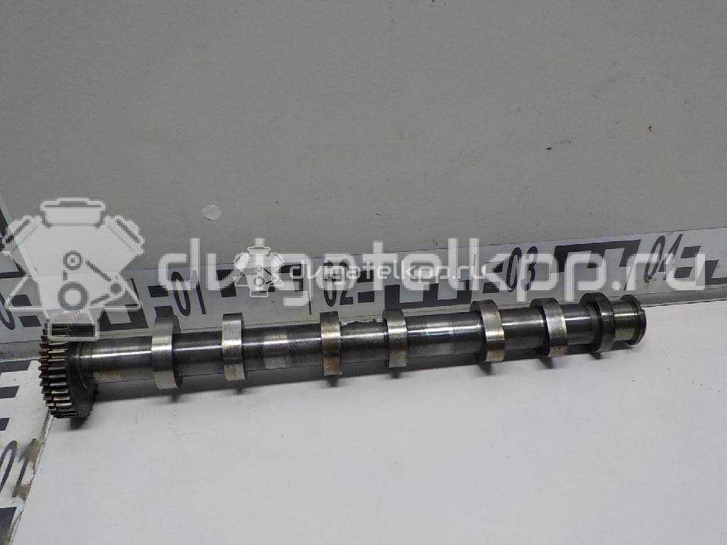 Фото Распредвал выпускной  059109009dk для audi A5/S5 [8F] Cabrio {forloop.counter}}