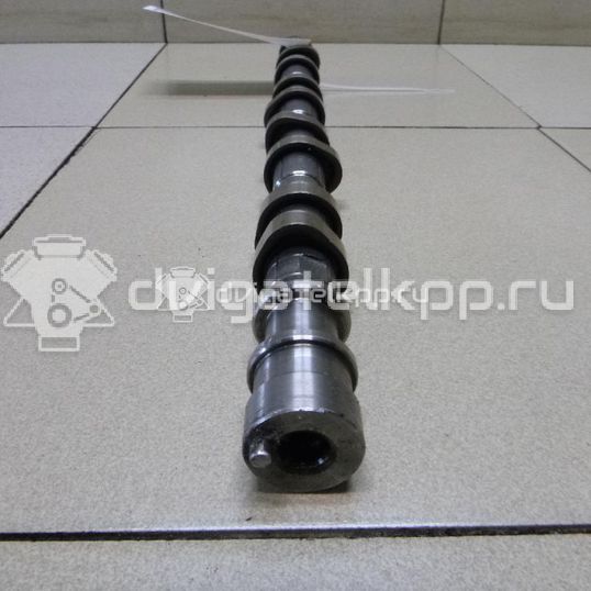 Фото Распредвал выпускной для двигателя D4FB для Hyundai / Kia 110-136 л.с 16V 1.6 л Дизельное топливо 241002A101