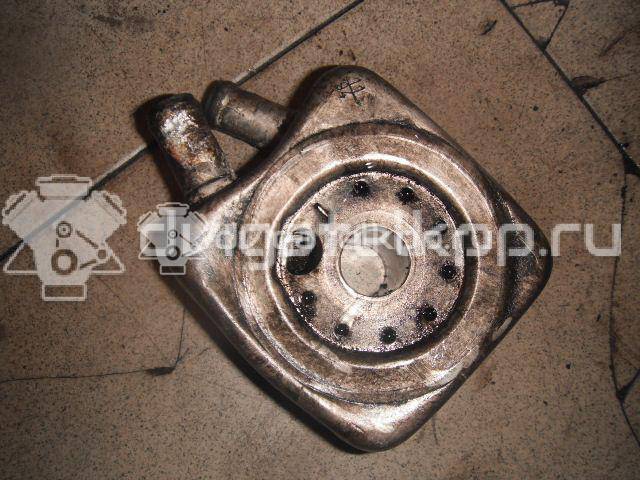 Фото Радиатор масляный  для Volkswagen / Audi {forloop.counter}}