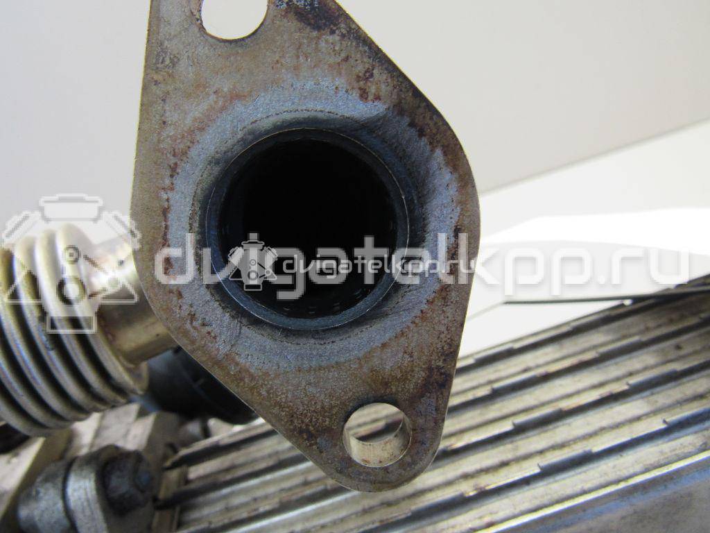 Фото Радиатор системы EGR  03G131513J для Audi A3 {forloop.counter}}