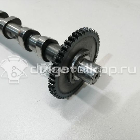 Фото Распредвал выпускной  06H109022BB для audi A3 [8PA] Sportback