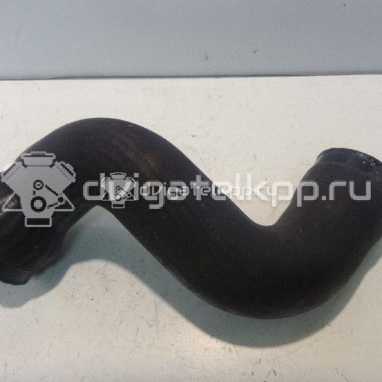 Фото Патрубок интеркулера  8E0145838G для Audi A4