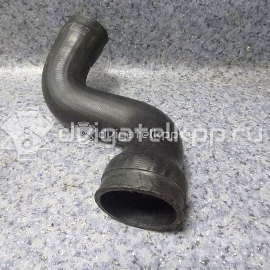 Фото Патрубок интеркулера  8E0145838G для Audi A4