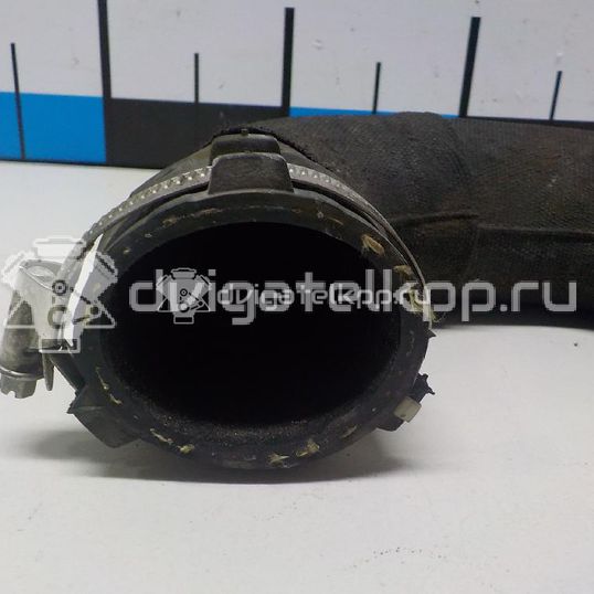 Фото Патрубок интеркулера  8K0145738M для Audi A5 / A4