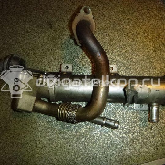 Фото Радиатор системы EGR  03L131512AB для Audi Q5 / A5 / A4 / A6