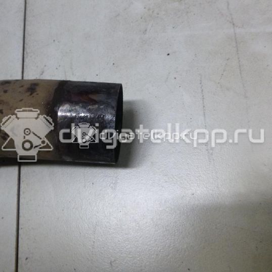 Фото Приемная труба глушителя  8K0254350S для Audi A5 / A4 / Q5