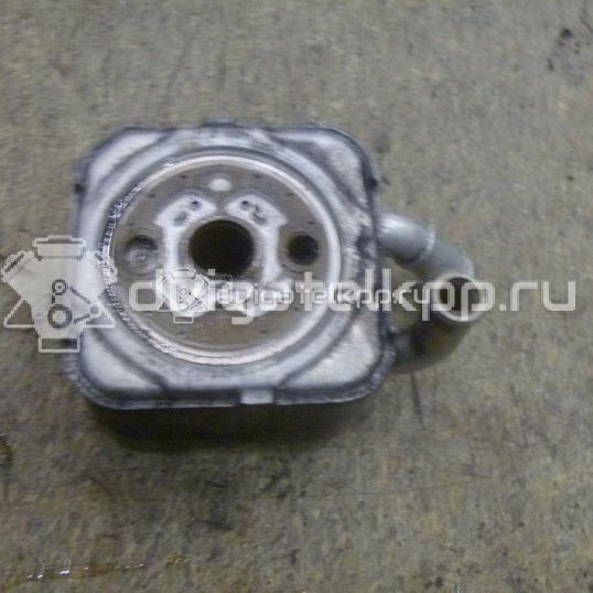 Фото Радиатор масляный  для Audi A8 / A4 / A6