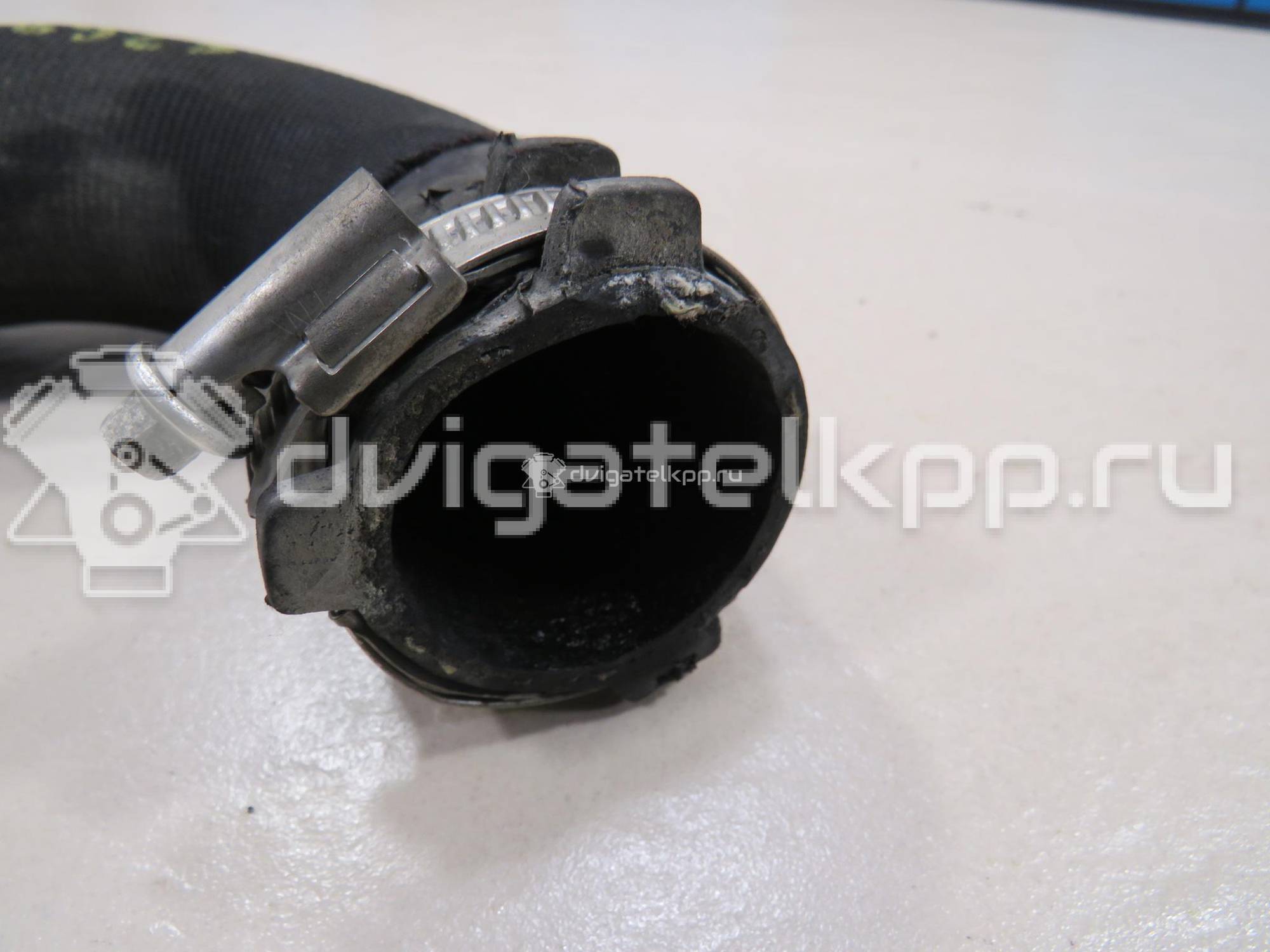 Фото Патрубок интеркулера  4F0145709M для Audi A6 {forloop.counter}}