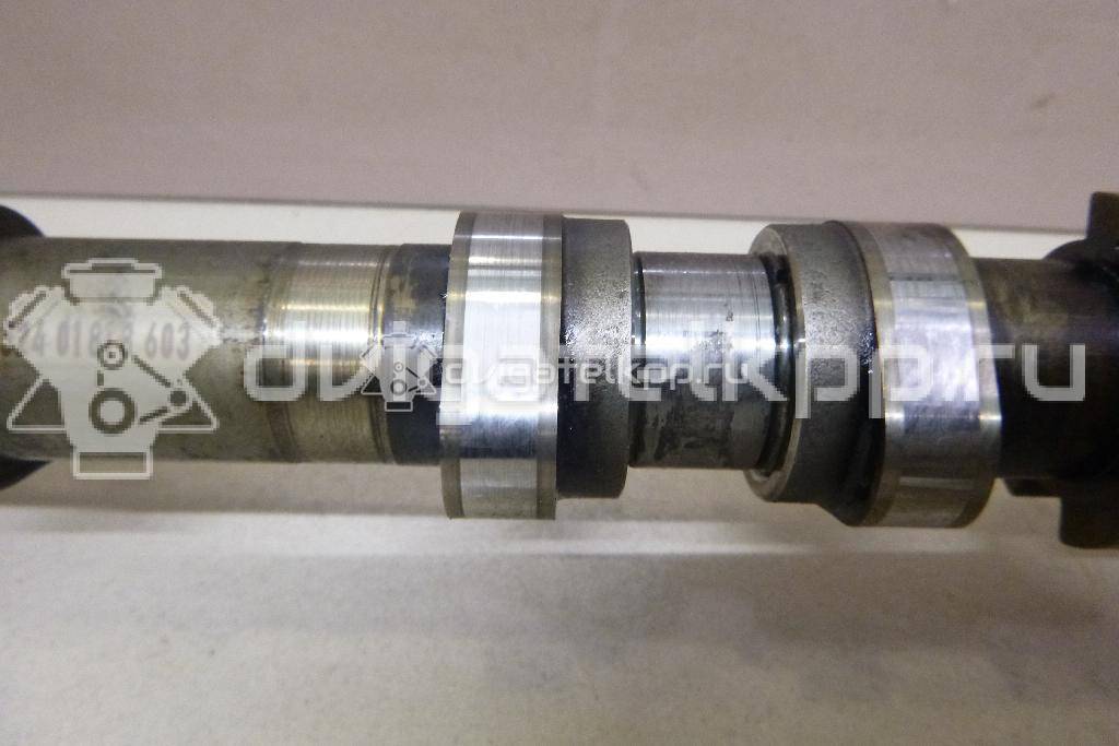 Фото Распредвал впускной для двигателя OM 642.850 (OM642) для Mercedes-Benz E-Class 204-231 л.с 24V 3.0 л Дизельное топливо 6420506101 {forloop.counter}}