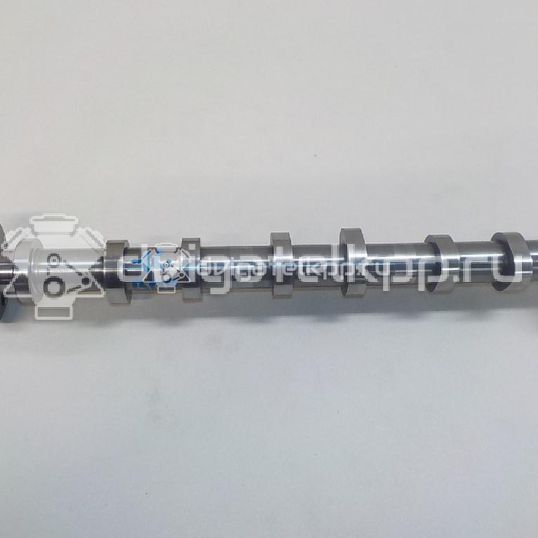 Фото Распредвал впускной  059109009dh для audi A8 [4H]
