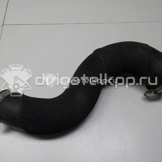 Фото Патрубок интеркулера  8R0145993C для Audi A5 / A4 / Q5