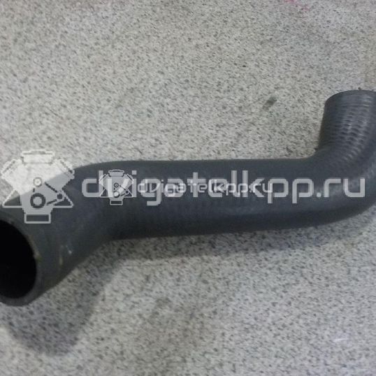 Фото Патрубок интеркулера для двигателя OM 668.914 (OM668 DE 17 LA) для Mercedes-Benz Vaneo 414 75-91 л.с 16V 1.7 л Дизельное топливо