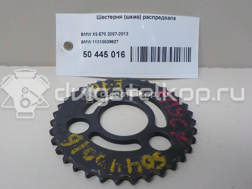 Фото Шестерня (шкив) распредвала  11318509927 для Bmw / Alpina {forloop.counter}}
