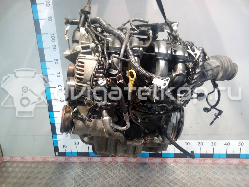 Фото Контрактный (б/у) двигатель PNDA для Ford / Ford Australia 125 л.с 16V 1.6 л бензин CB48520 {forloop.counter}}