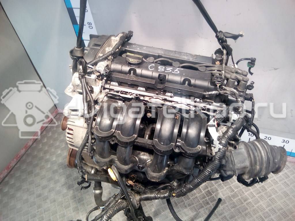 Фото Контрактный (б/у) двигатель PNDA для Ford / Ford Australia 125 л.с 16V 1.6 л бензин CB48520 {forloop.counter}}