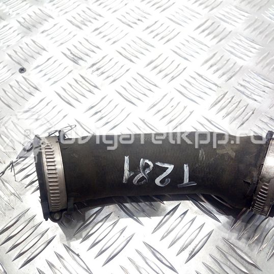 Фото Патрубок интеркулера  для Audi A4 / A6