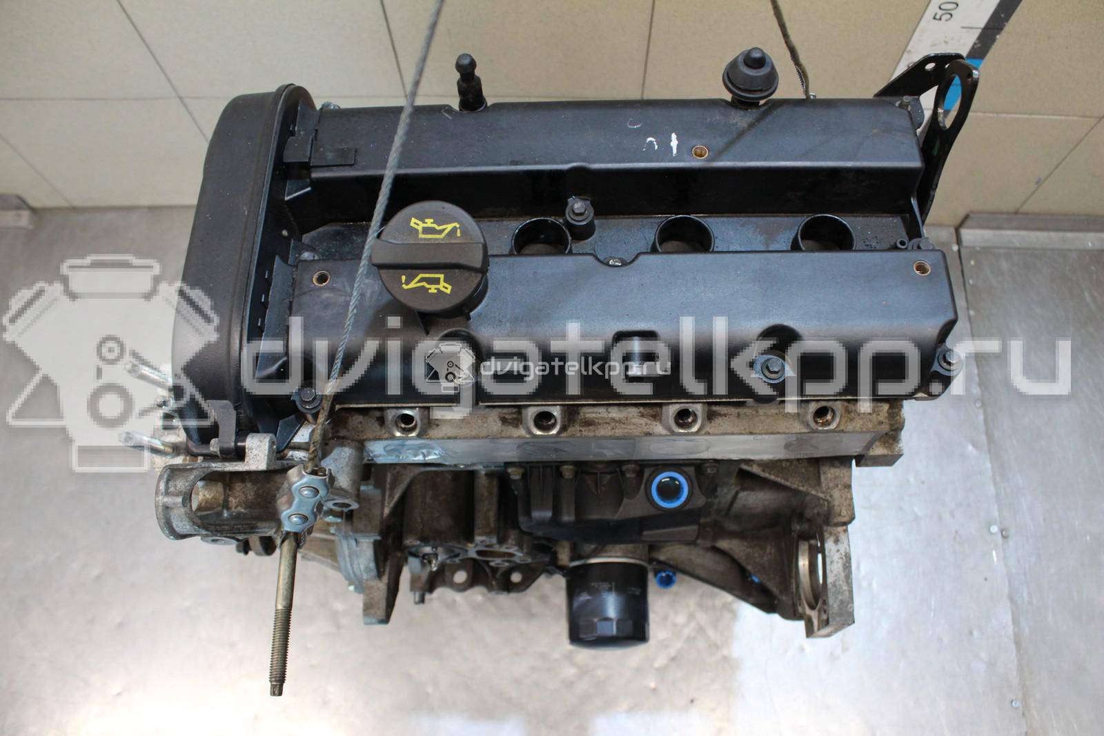 Фото Контрактный (б/у) двигатель FXJB для Ford Fiesta 80 л.с 16V 1.4 л бензин 1734722 {forloop.counter}}