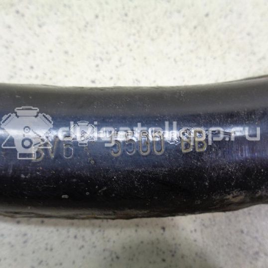 Фото Рычаг задний поперечный  BV615500BB для Ford Focus / Kuga