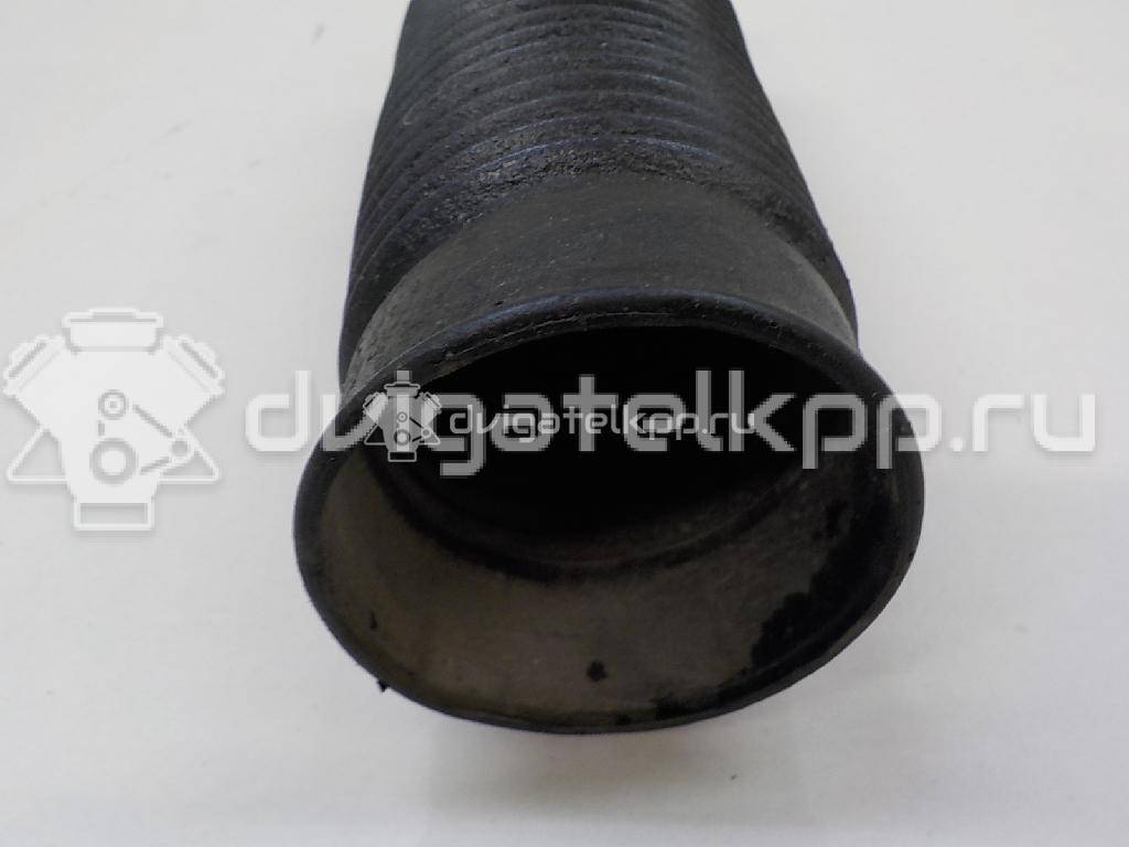 Фото Пыльник переднего амортизатора  51688sdaa01 для Honda Accord {forloop.counter}}