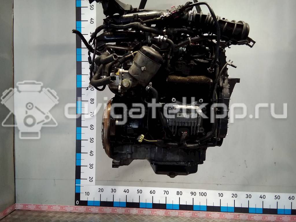 Фото Контрактный (б/у) двигатель Y 17 DT для Opel / Chevrolet / Vauxhall 75 л.с 16V 1.7 л Дизельное топливо 0517822 {forloop.counter}}