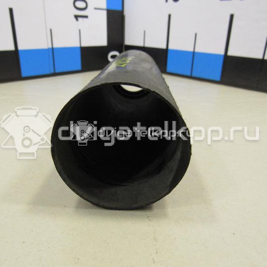 Фото Пыльник заднего амортизатора  553701c000 для Hyundai Accent / Getz Tb