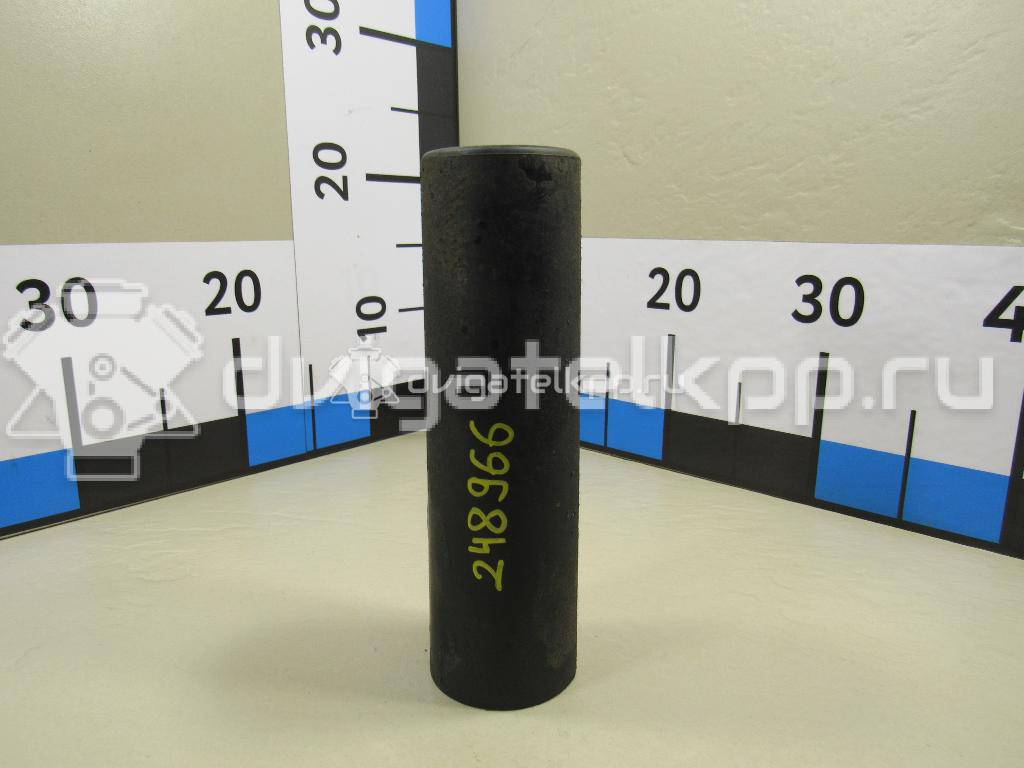 Фото Пыльник заднего амортизатора  553701c000 для Hyundai Accent / Getz Tb {forloop.counter}}