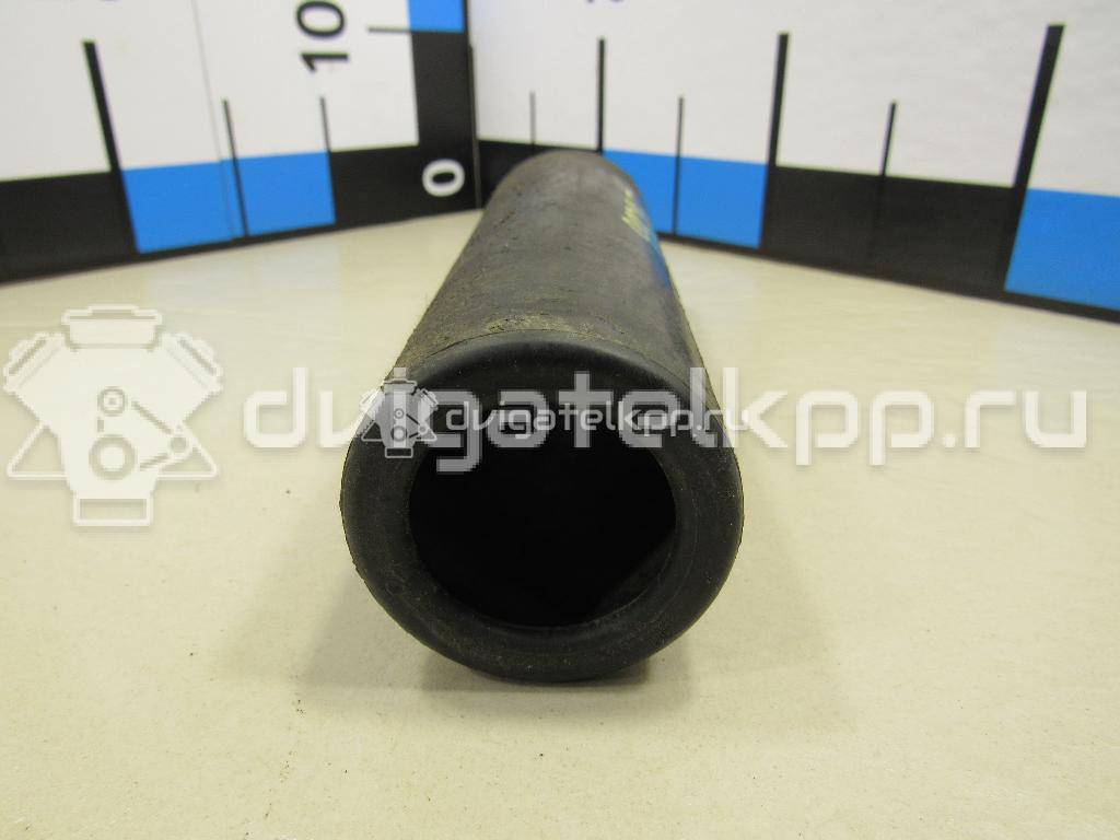 Фото Пыльник заднего амортизатора  553701c000 для Hyundai Accent / Getz Tb {forloop.counter}}