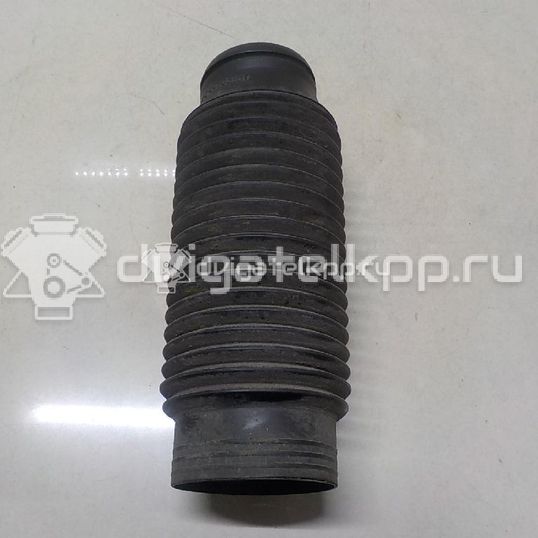 Фото Пыльник переднего амортизатора  5462507000 для Hyundai I10