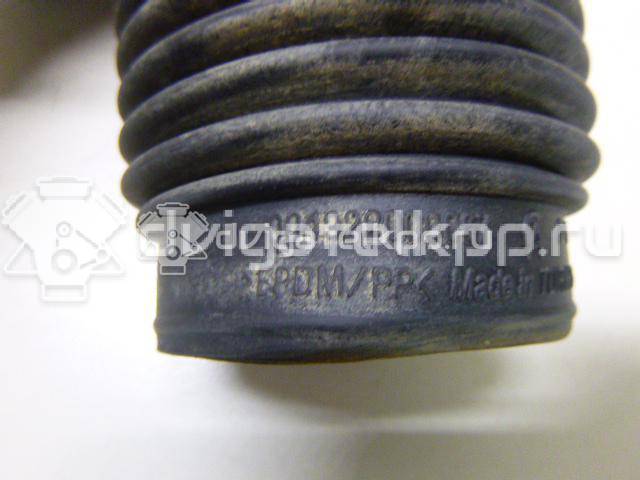 Фото Пыльник переднего амортизатора  546251H000 для Kia Ceed / Pro Ceed {forloop.counter}}