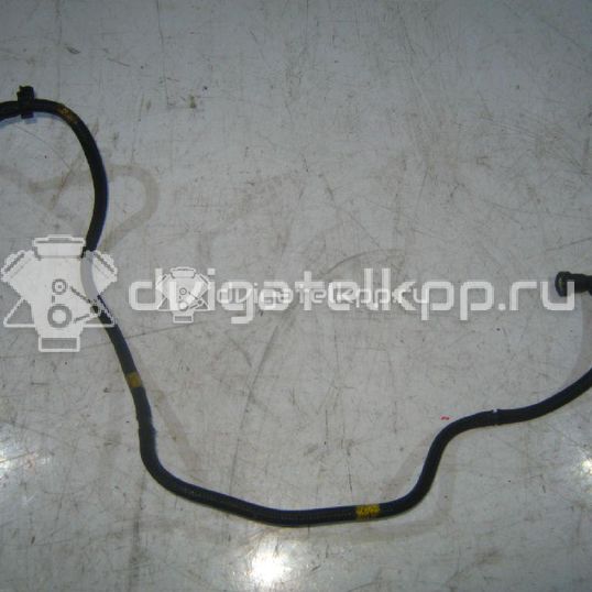 Фото Трубка топливная для двигателя 9HX (DV6ATED4) для Peugeot / Citroen 90-92 л.с 16V 1.6 л Дизельное топливо