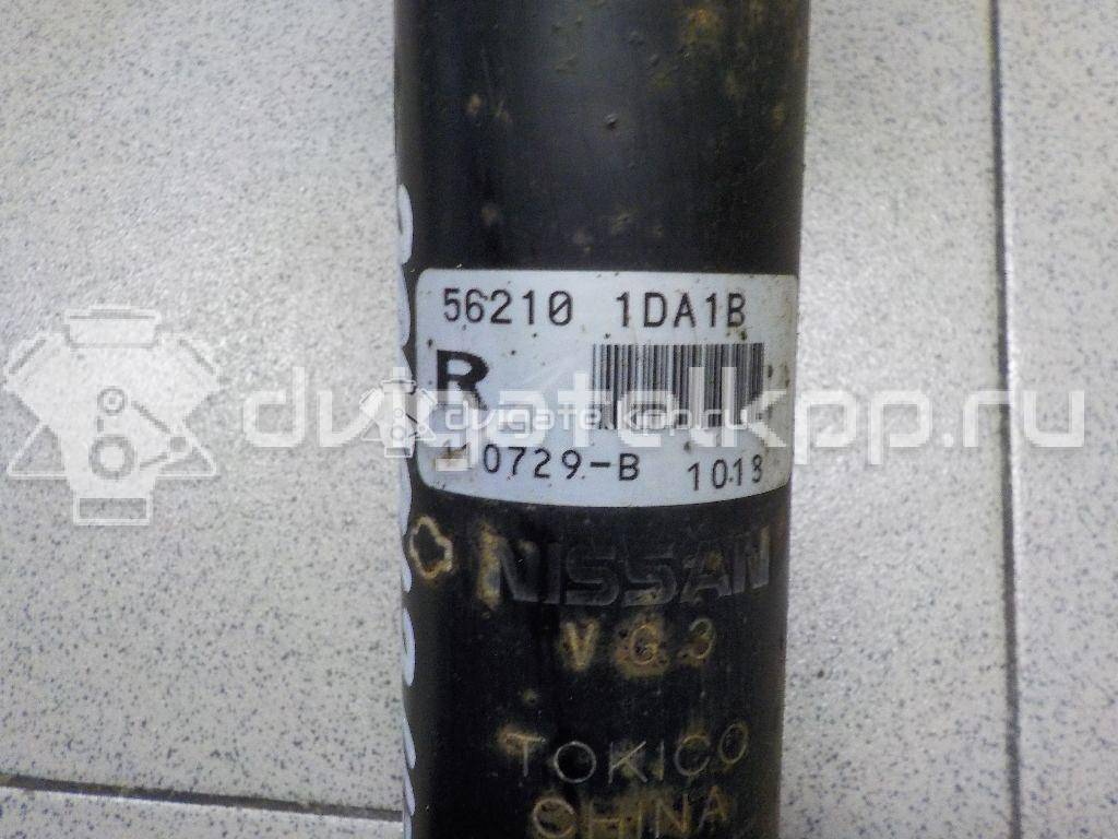 Фото Амортизатор задний  562101DA1B для Nissan Qashqai / X-Trail {forloop.counter}}