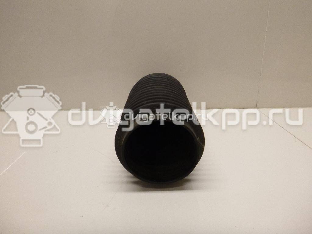Фото Пыльник переднего амортизатора  54050jd00a для Nissan Qashqai / X-Trail {forloop.counter}}