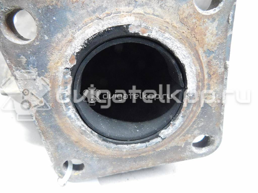 Фото Коллектор выпускной для двигателя BLF для Skoda Octavia / Octaviaii 1Z3 115 л.с 16V 1.6 л бензин 03C253031G {forloop.counter}}