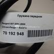 Фото Пружина передняя  5002FS для Peugeot 307 {forloop.counter}}