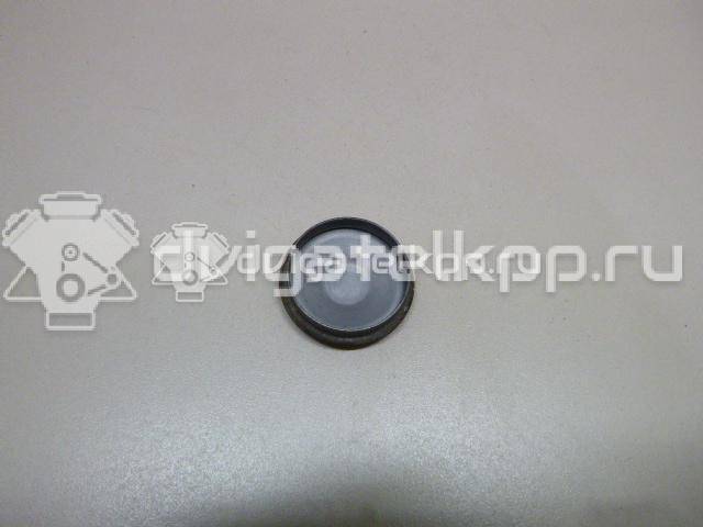 Фото Колпачок ступицы  8200649356 для Renault 11 / Megane / Clio / 19 / Laguna {forloop.counter}}