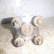 Фото Цапфа (п.з.к.)  7700416374 для Renault Modus Grand F Jp0 / Clio / Logan {forloop.counter}}