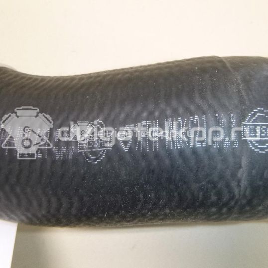 Фото Патрубок интеркулера  144637670R для Renault Koleos